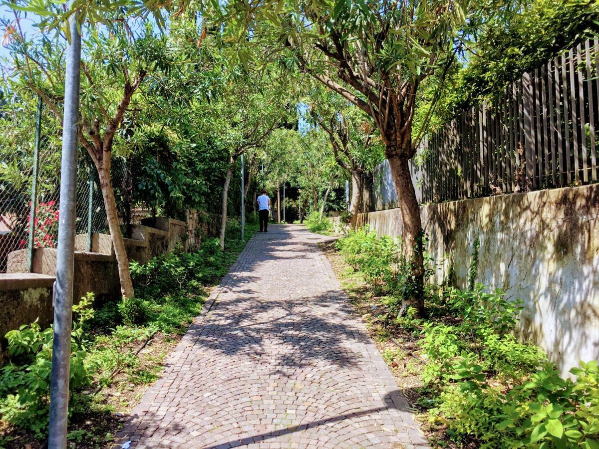 La Briciola Apartman Sirmione Kültér fotó